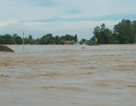 Six Banke VDCs at high risk of flood as Rapti River swells